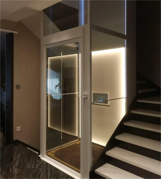Xyzlift Home Elevator Traction Type Home Lift 250kg Loading Capacity for Villa
