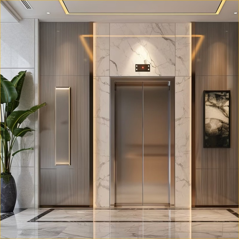 Compact Villa Traction Lift for Home Accessibility Solutions