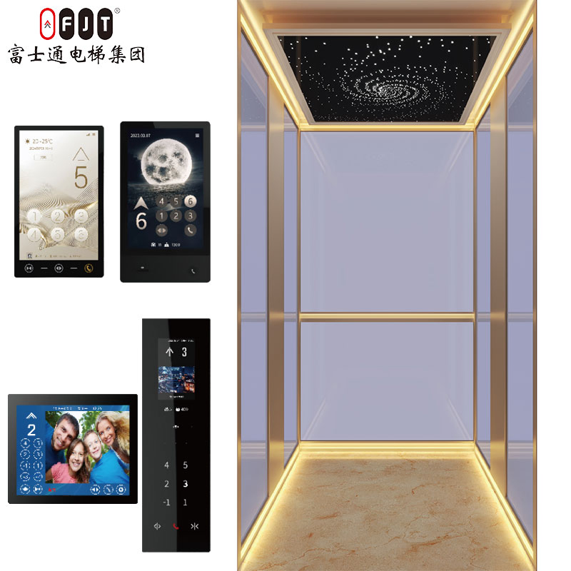 Smooth-Running Traction Type Villa Lift for Family House Usage