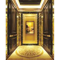 Smart Mrl Old Types Passenger Lifts Elevator