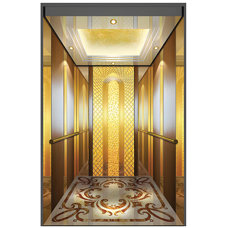 Customized Passenger Elevator 630kg Machine Roomless Residential Lift