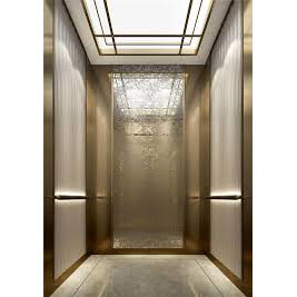 Smart Mrl Old Types Passenger Lifts Elevator