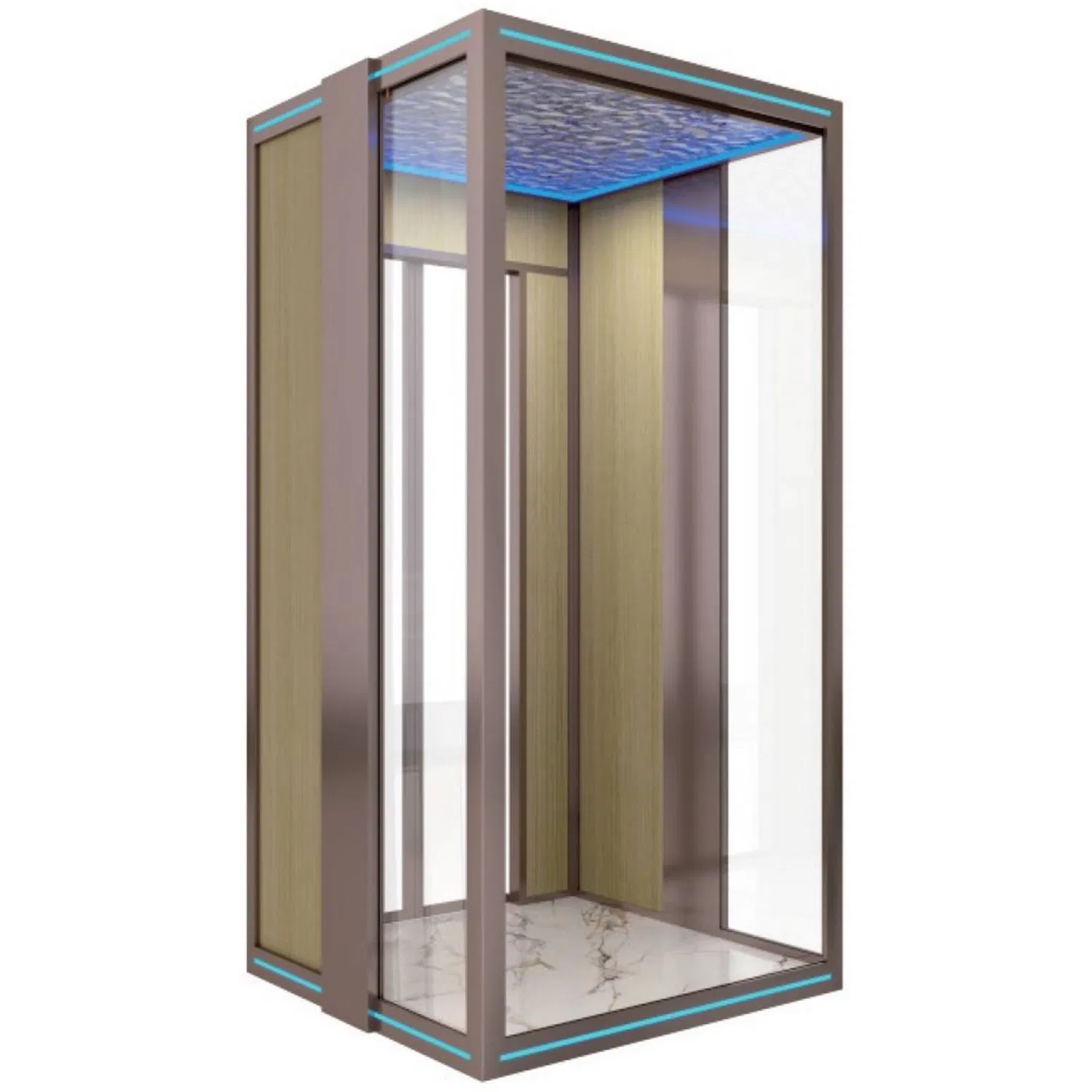 Stainless Steel Gearless AC Traction Passenger Elevator Lift with PVC Floor for Indoor/Outdoor Villa Home Use