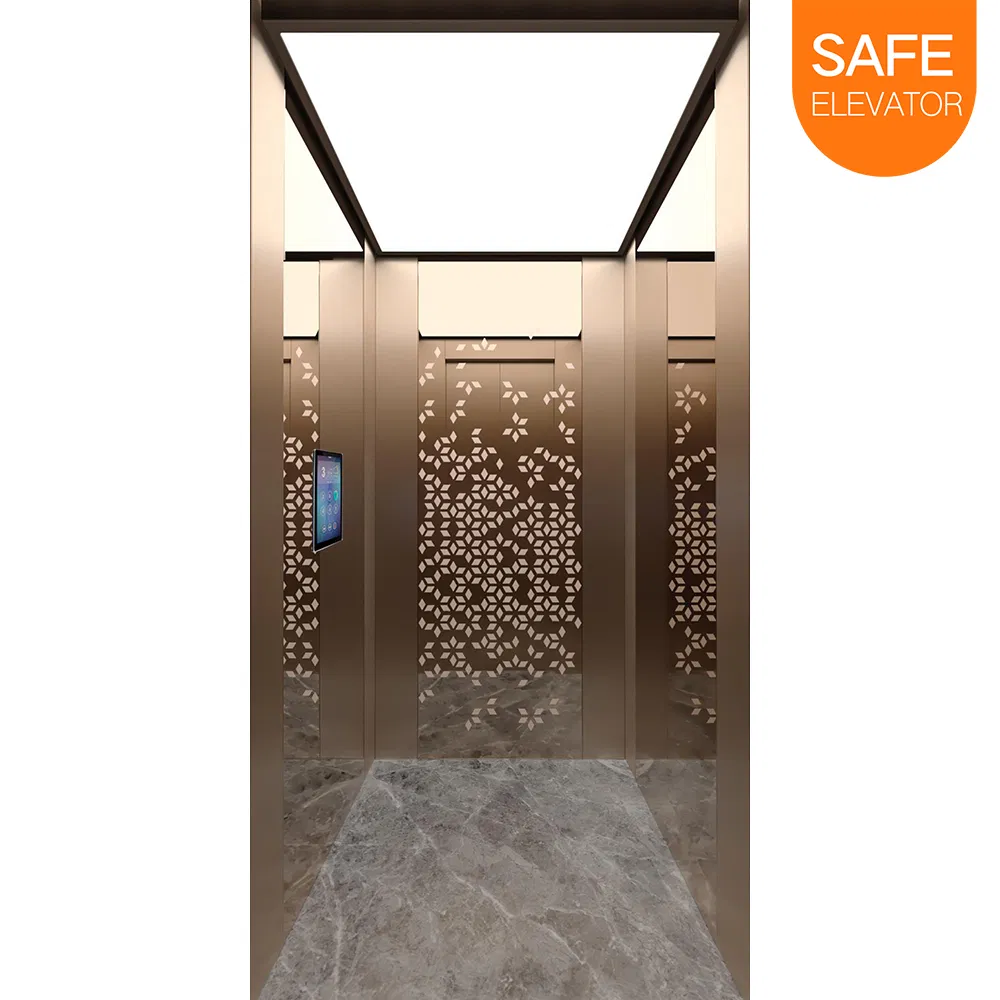 Low Noise Cheap Price Machine Roomless Energy Saving Passenger Elevator