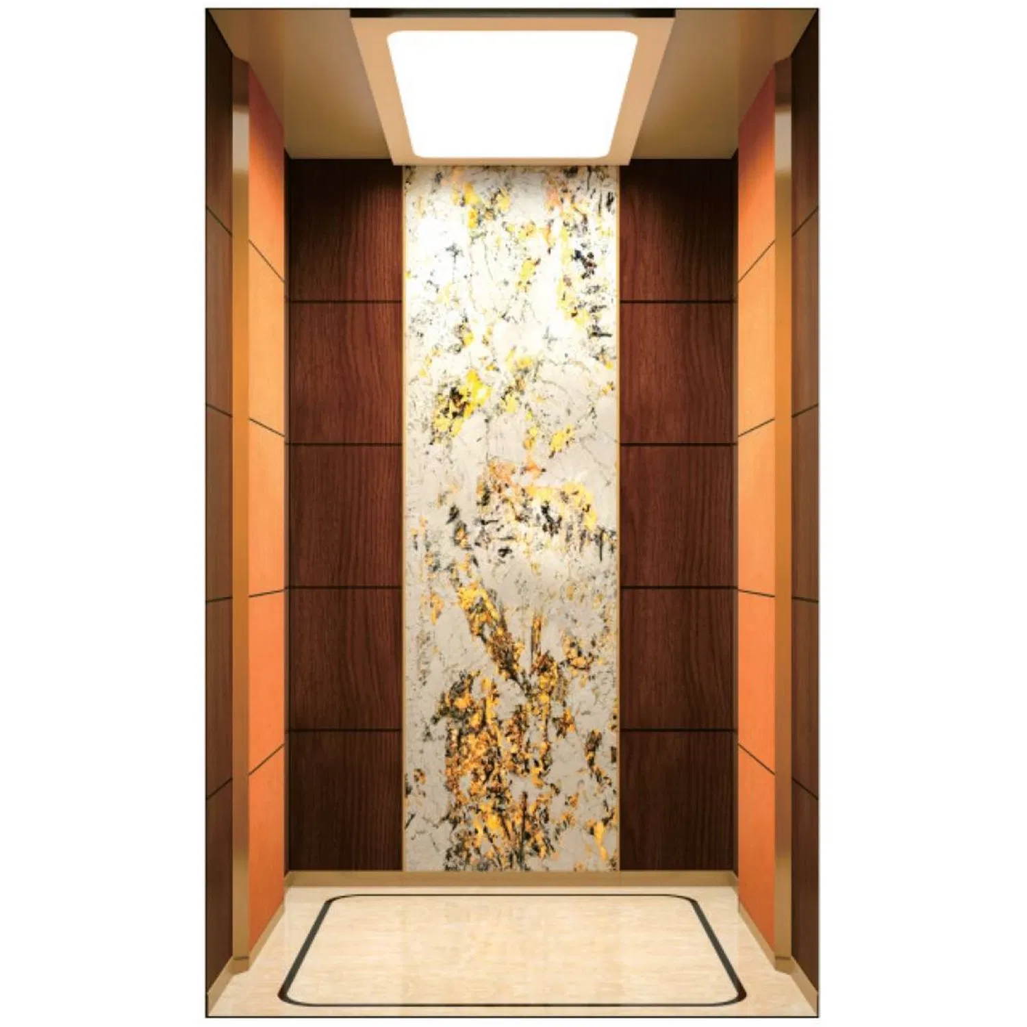 Stainless Steel Gearless AC Traction Passenger Elevator Lift with PVC Floor for Indoor/Outdoor Villa Home Use