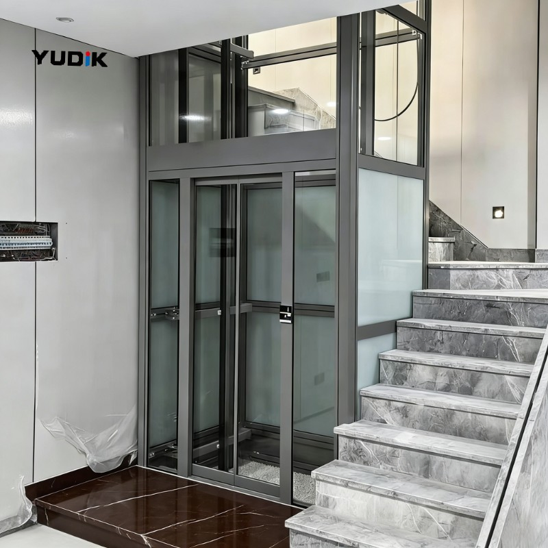 Traction Home Lift with Frosted Glass for Private Villa Use