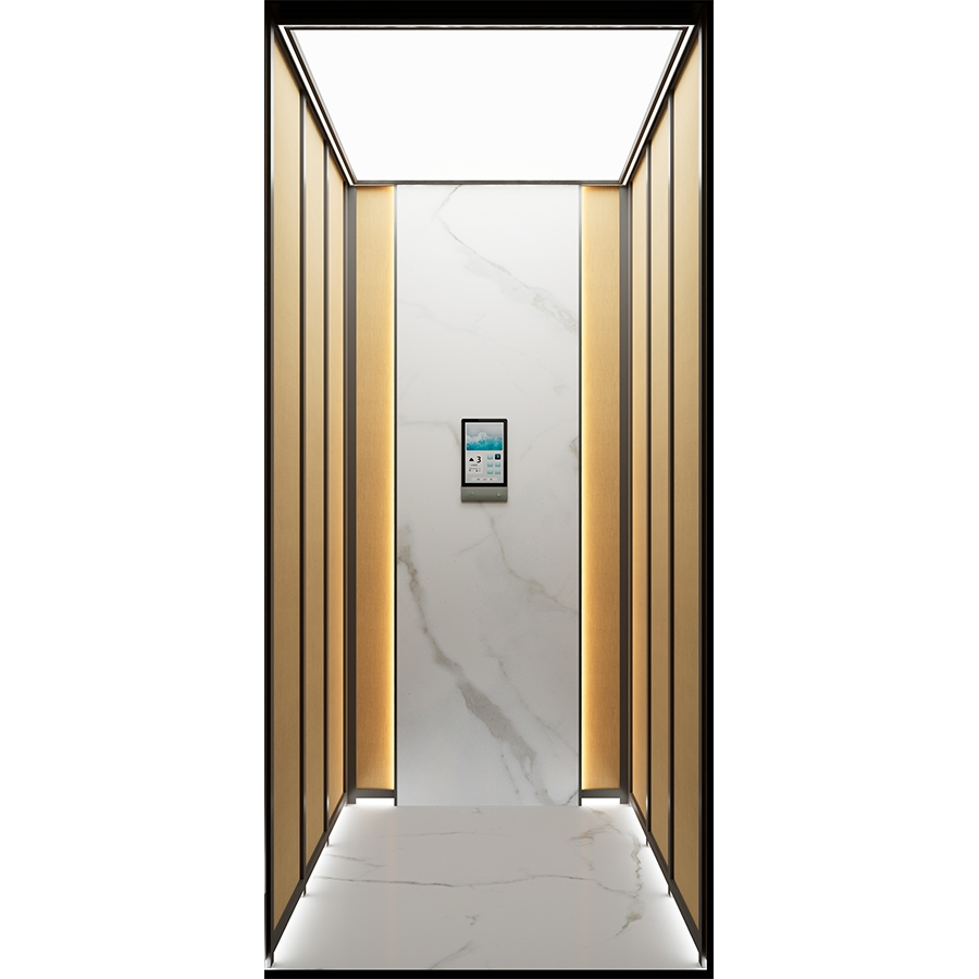 Residential Machine-Room-Less Traction Small House Home Villa Elevator