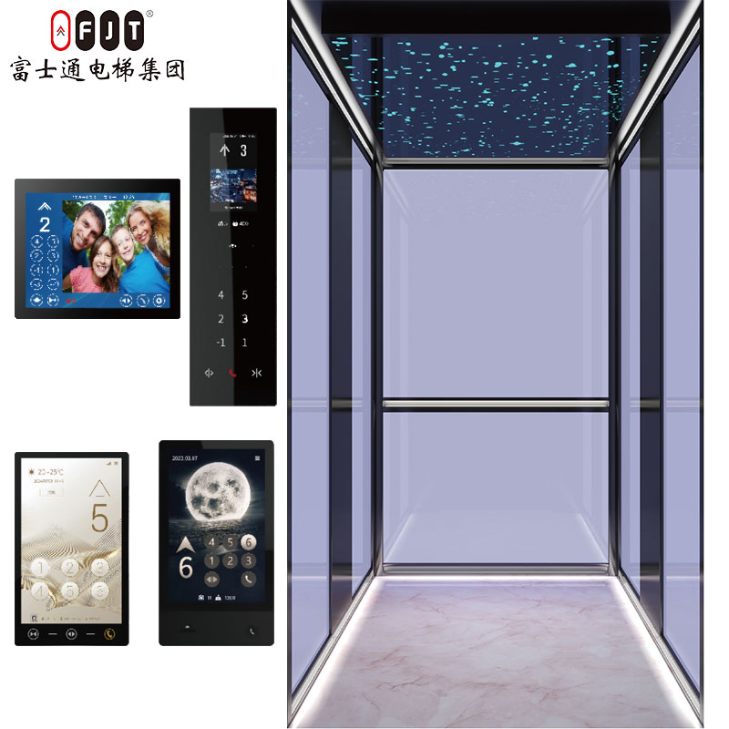 Fujithrough International Certified Home Elevator with Small Shaftless Machine Room Features Home Use