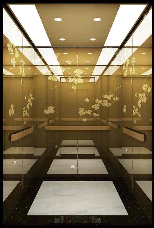 European CE Certificate Passenger Elevator Machine Roomless