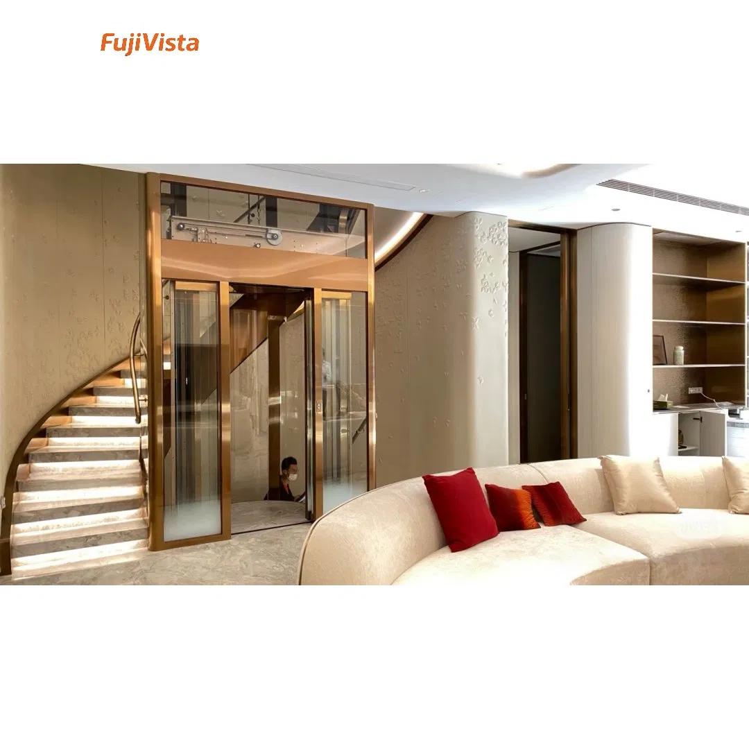 Fujivista 3 Story Residential Lift Mrl Home Elevator with Inverter Technology for Small Villa and Residence