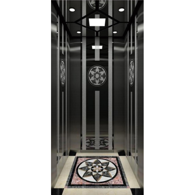 6 Person Small Size Machine Roomless Home Lift Villa Passenger Elevator