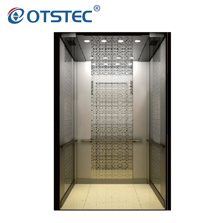Otstec Residential Passenger Elevator for Machine Roomless Cheap Price