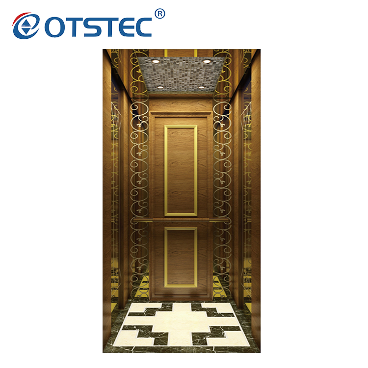 Otstec Home Traction Lift Luxury Villa Residential Elevator Lift