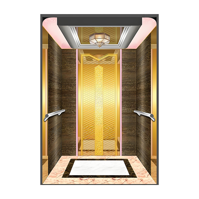Customized Passenger Elevator 630kg Machine Roomless Residential Lift