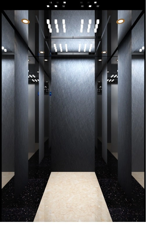 China Gearless Residential Villa Panoramic Sightseeing Observation Freight Car Goods Service Cargo Home Lift Passenger Elevator