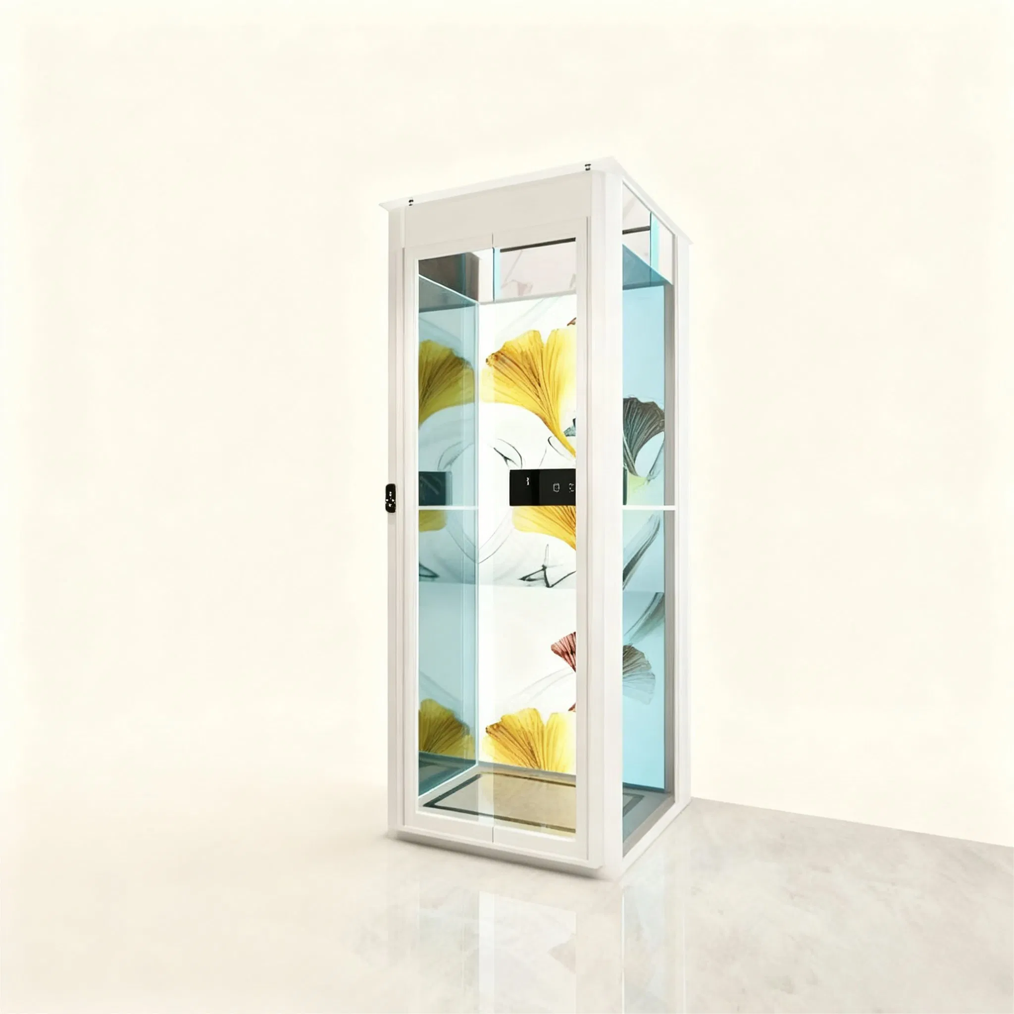 Traction Elevator Space Saving Home Lift Villa 2-6 Floors Stable &amp; Safe