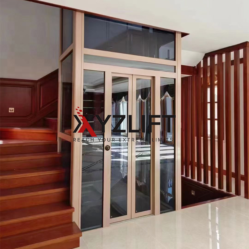 Low Cost Small Traction Home Elevator Villa Lift Solution with Affordable Price