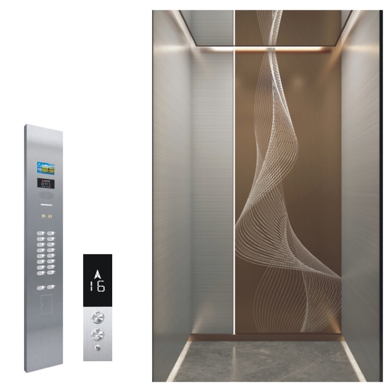 Steel Ceiling 400kg Home/Hotel Passenger Machine Roomless Mrl Lift Elevator