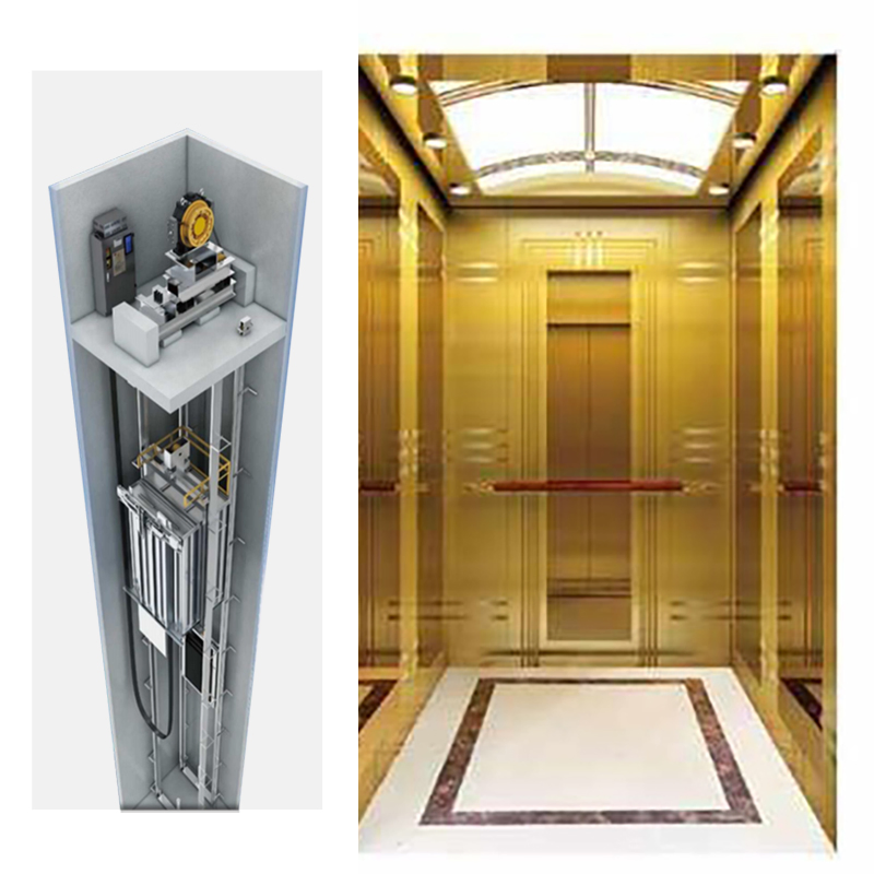 Mr Machine Room Residential Passenger Lift Apartment Small Home Elevator Price