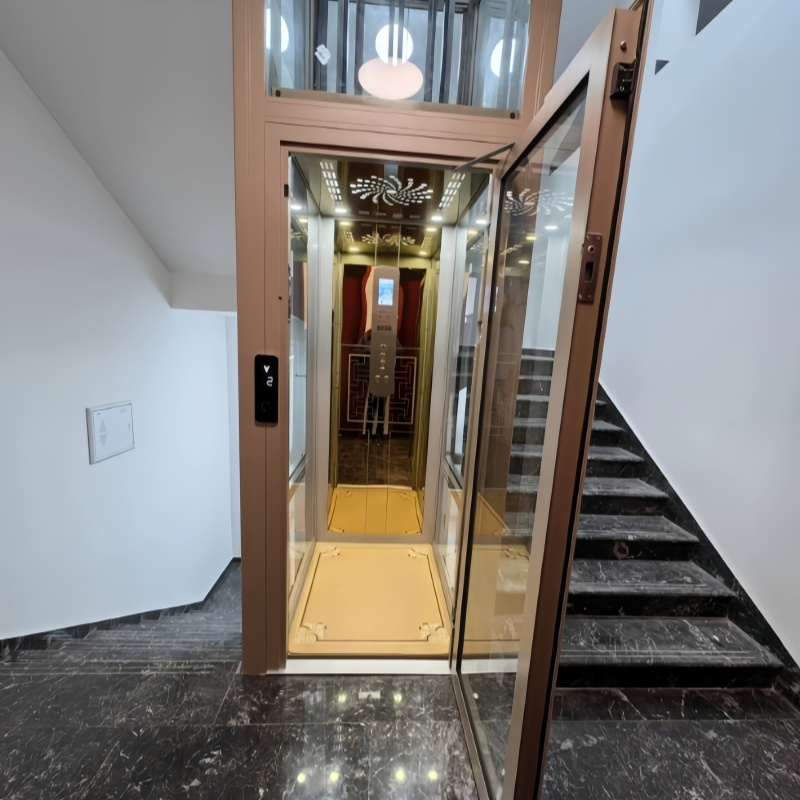 200kg 250kg Small Domestic House Passenger Lifts Elevator for One Person No Machine Room