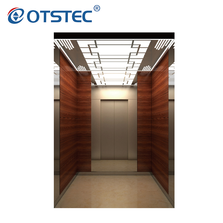 Otstec Residential Passenger Elevator for Machine Roomless Cheap Price