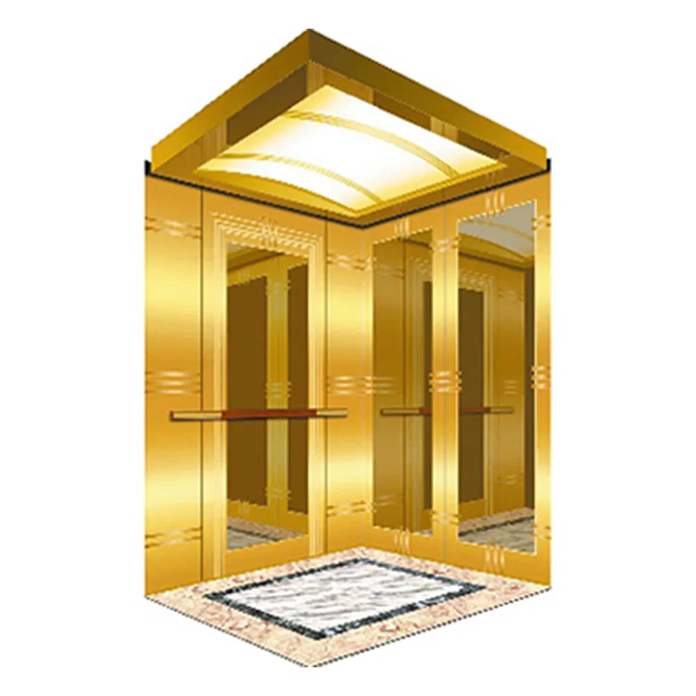 Shock-Resistant Energy Saving Hqa-255 Popular Design Passenger Elevator for Hospitals