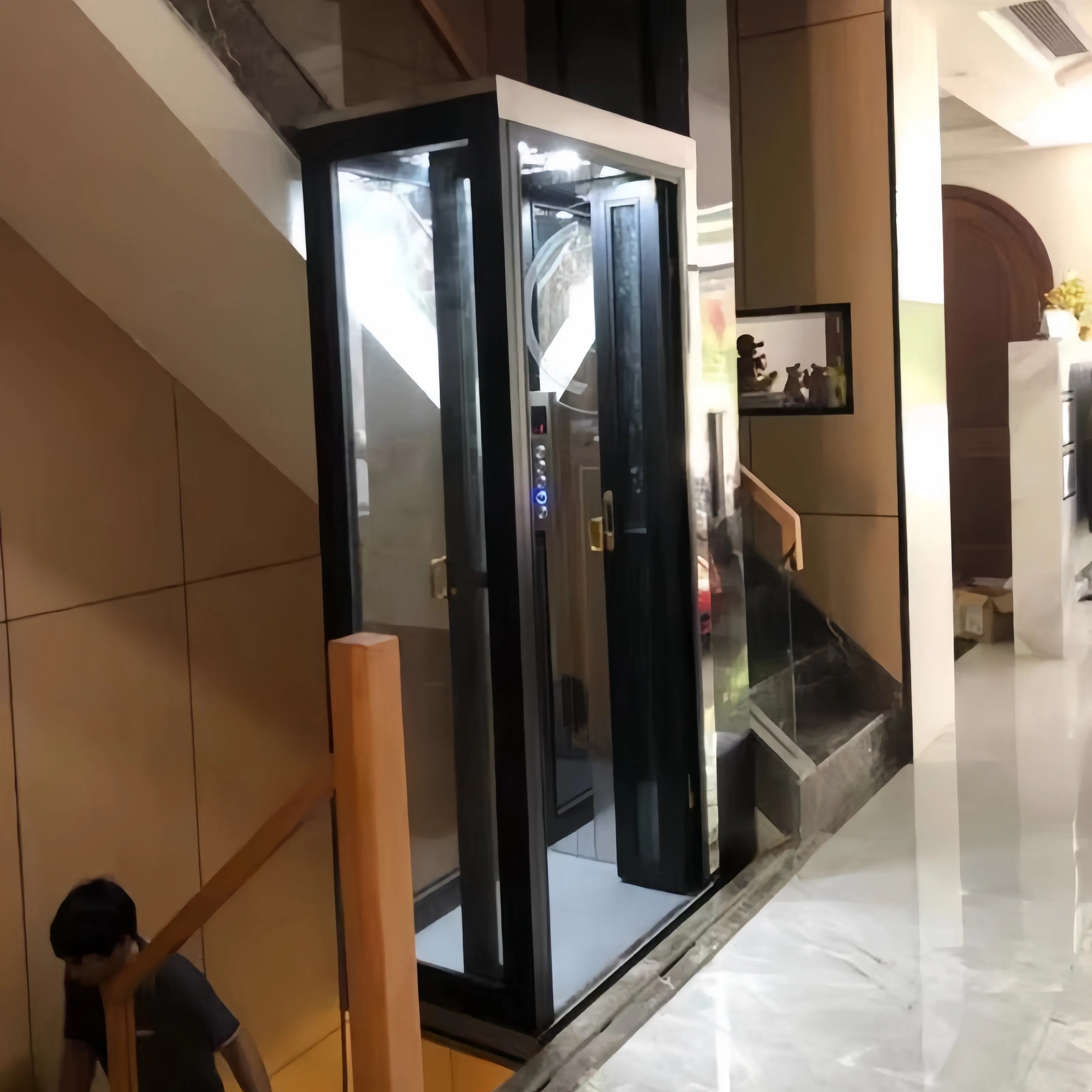 200kg 250kg Small Domestic House Passenger Lifts Elevator for One Person No Machine Room