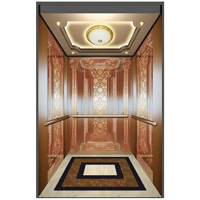 1000kg Machine Roomless Passenger Lift Elevator with Luxury Cabin for Residential and Commercial