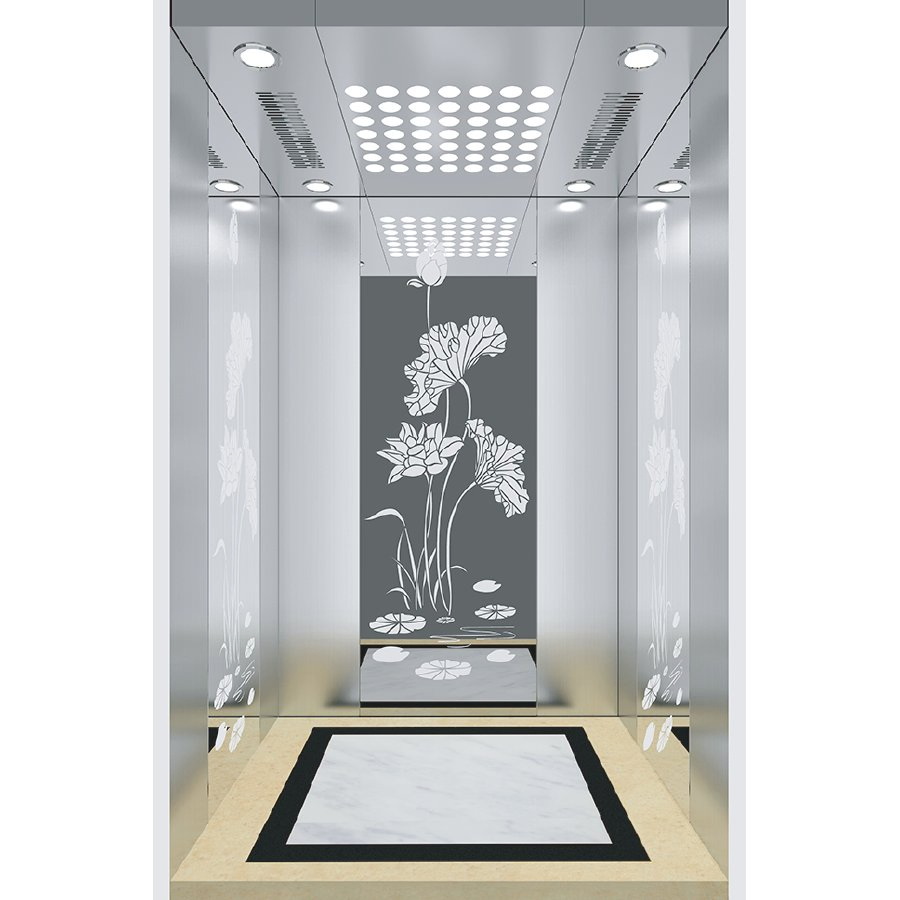 China-Manufactured Passenger Elevators for Luxury Hotels Hospitals Office Buildings &amp; Residential Homes