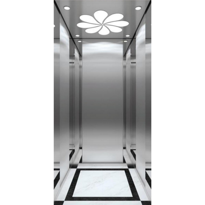 6 Person Small Size Machine Roomless Home Lift Villa Passenger Elevator