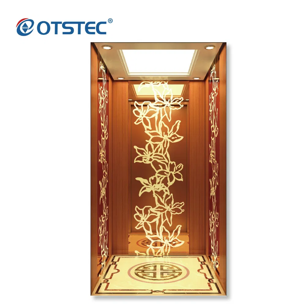 Otstec Villa Elevator Passenger Elevator Luxury Home Lift with Belt Traction