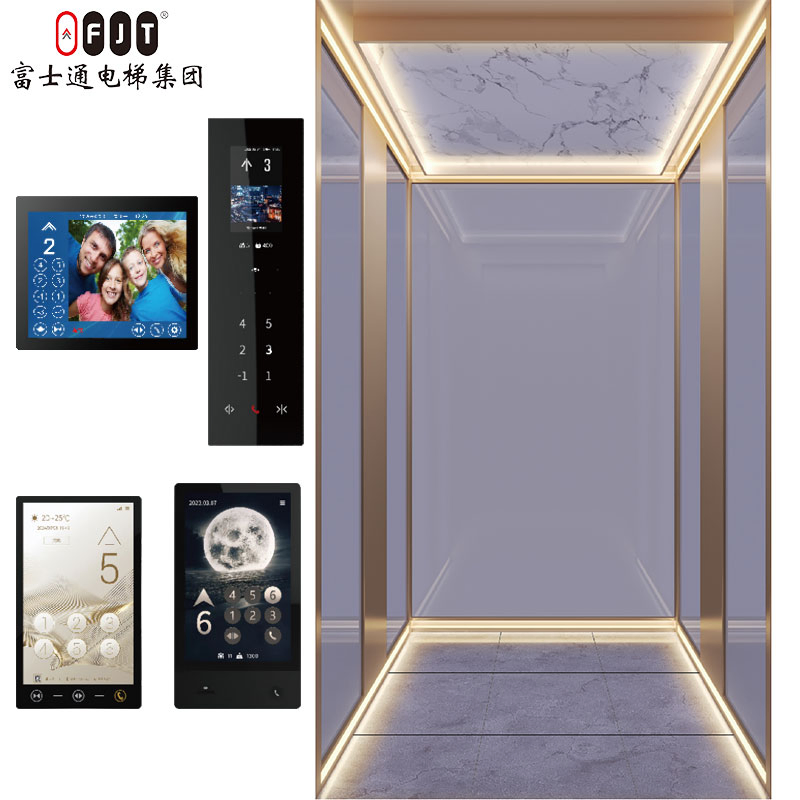 Fujithrough International Certified Home Elevator with Small Shaftless Machine Room Features Home Use