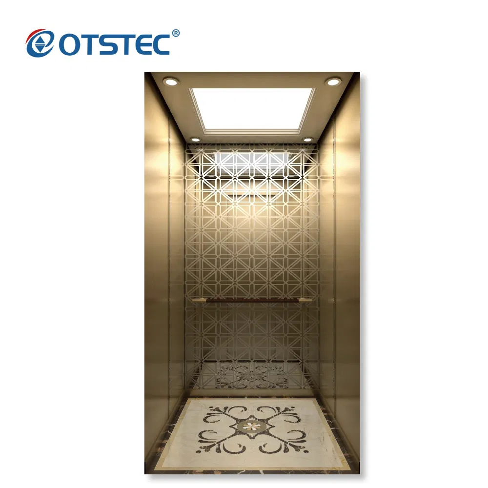 Otstec Villa Elevator Passenger Elevator Luxury Home Lift with Belt Traction