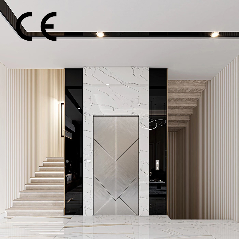 Luxury Home Traction Villa Indoor Lift