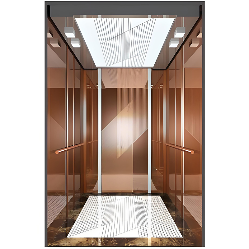 1000kg Machine Roomless Passenger Lift Elevator with Luxury Cabin for Residential and Commercial