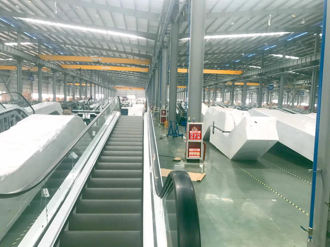 Stable Running Top Quality Airport Supermarket Moving Walkway
