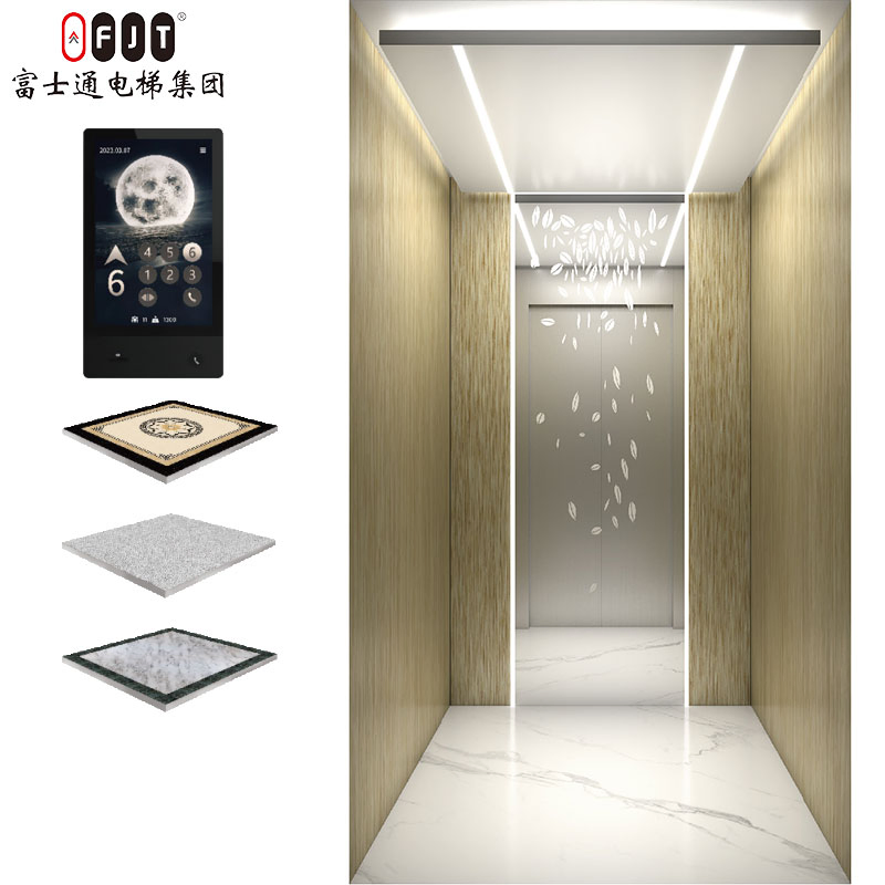 Fujithrough Energy-Saving Traction Type Lightweight Vvvf Villa Lift for Luxury Villa