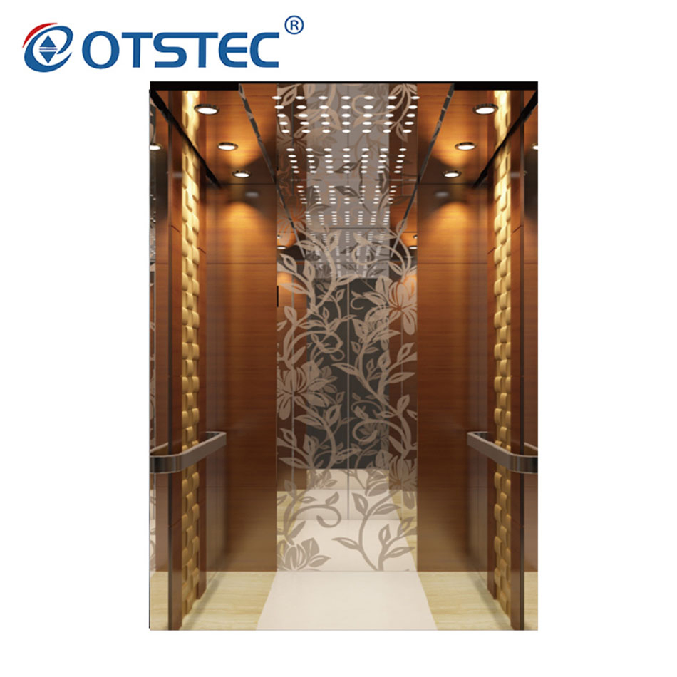 Otstec Residential Passenger Elevator for Machine Roomless Cheap Price