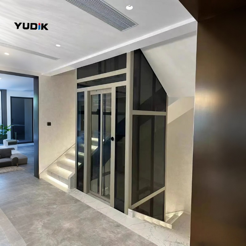 Traction Home Lift with Frosted Glass for Private Villa Use
