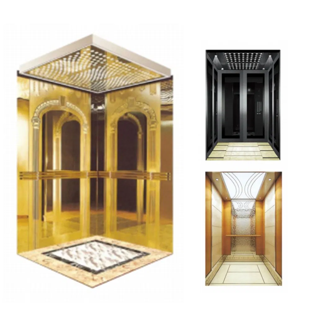 Made in China Elevator with a Machine Room, a Large Shaft and a Small Pit