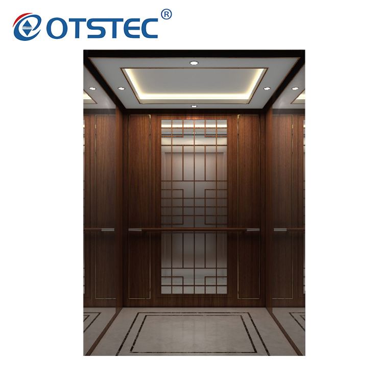 Hot Selling Machine Roomless Building Home Lift Price Passenger Elevator with CE