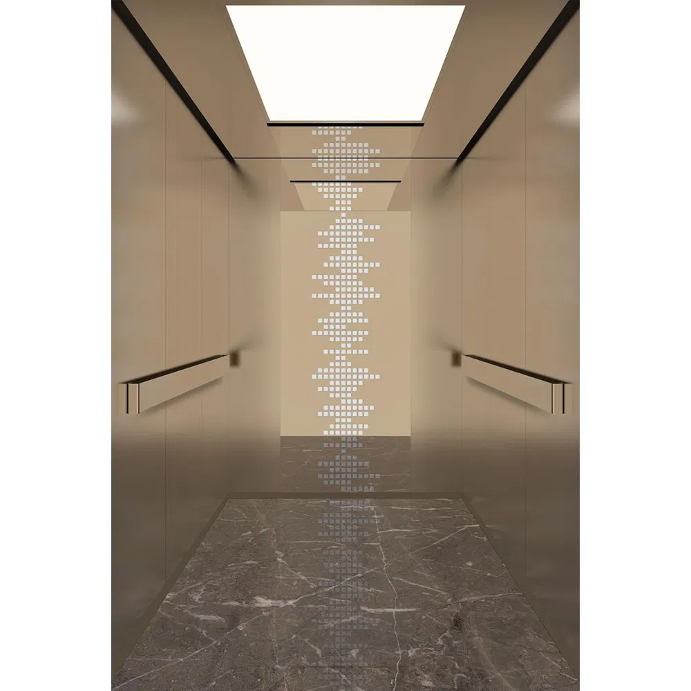 Best Elevator Brand Guangdong Elevator Lift Manufacturer Machine Roomless Hospital Elevator