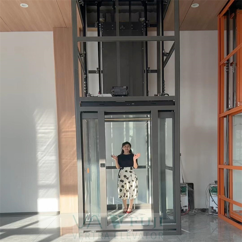 Machine Room-Less Electric Traction Passenger Residential Elevator Luxury Villa House Lift Price