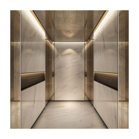 Smart Mrl Old Types Passenger Lifts Elevator