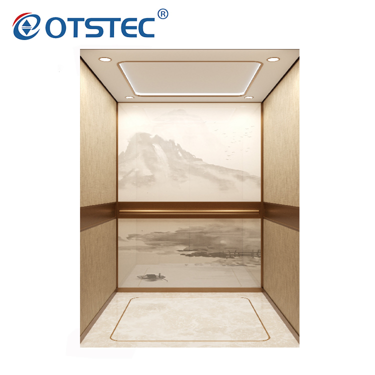 Otstec High Quality Small Machine Room Indoor Low Noise Passenger Elevator
