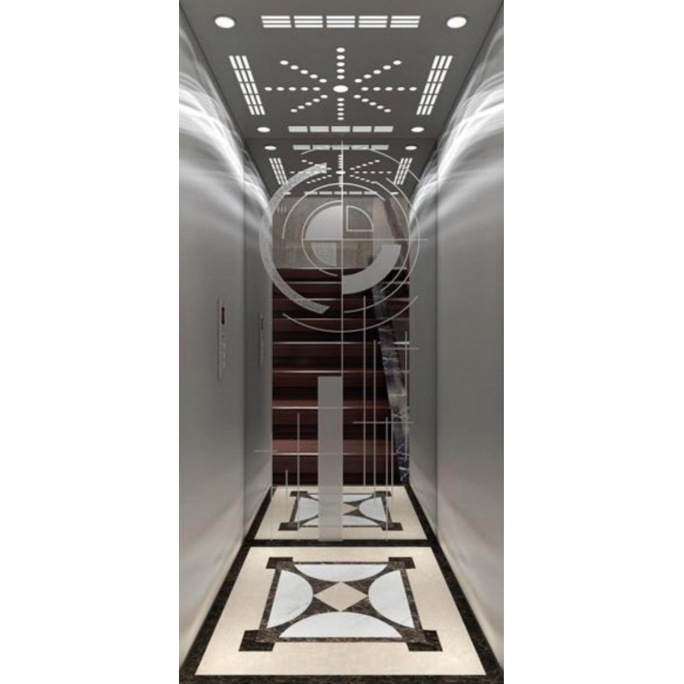 6 Person Small Size Machine Roomless Home Lift Villa Passenger Elevator
