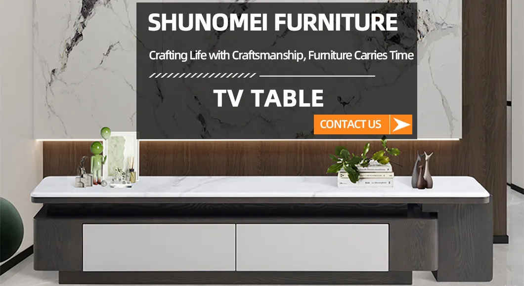 Modern Home Storage TV Cabinet