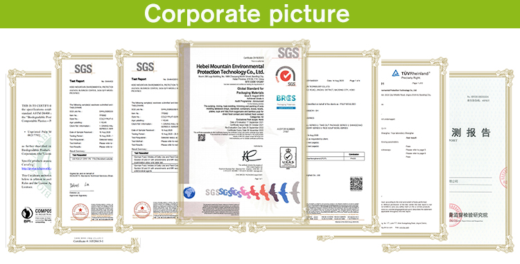 Sugarcane Bagasse Eco Plates