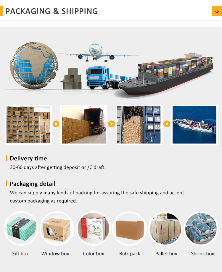Standard Safe Export Packing