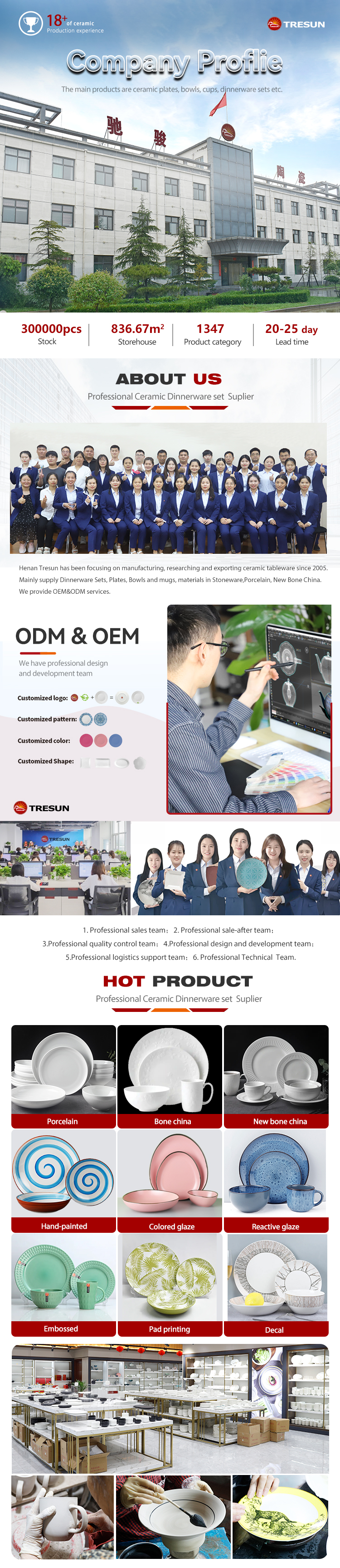 Company Profile 1
